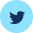 twitter icon